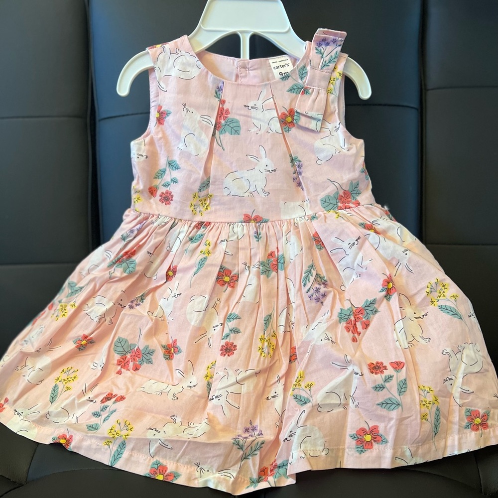 Baby Girl Spring Bunnies Dress